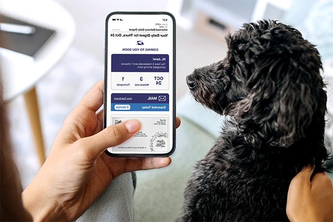 一个人抱着一只狗，在智能手机上看《每日资讯文摘》(通知交货 Daily Digest)的邮件.